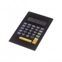 Kalkulator "Newton"